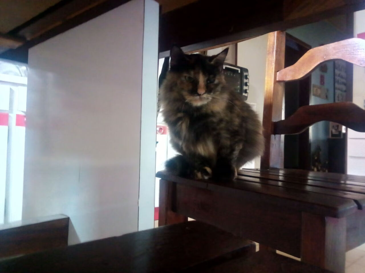 九游官网入口充值-俱乐部青训资金投入比例不足，怎么算本俱乐部青训