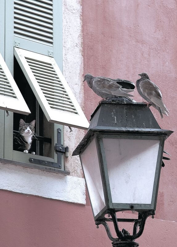 九游体育-奥预赛中国足球惨败 战术安排饱受批评，中国足球奥运会预选赛赛程时间表
