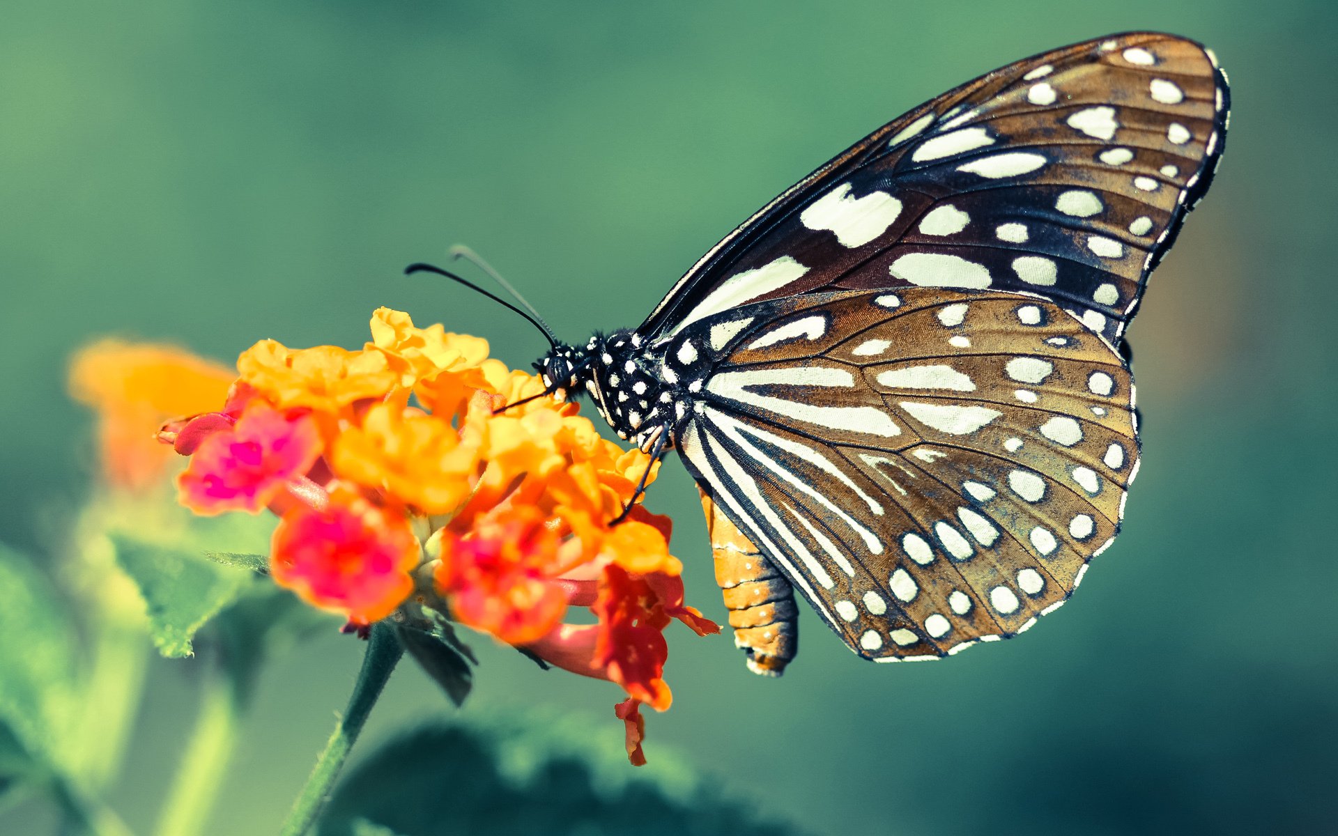 九游娱乐app官网-媒体关注联赛整体水平提升认为我队有望冲击更高排名目标